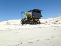 crawler on sand near tide mark